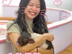 -猪盟咖啡店(玖洲道店)