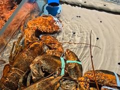 -渔傅·霞浦滩涂海鲜(建平店)