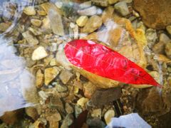 -楠溪江风景名胜区