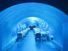 -涛·海底餐厅·美人鱼·自助餐·海底隧道(三亚海棠湾洲际度假酒店)