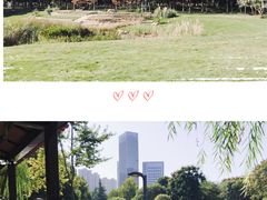 -后襄河公园