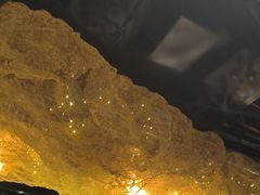 -顶特勒·黄鱼馆·特色菜(上海大世界店)