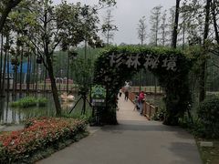 -武汉欢乐谷