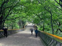 -沈阳市东陵公园