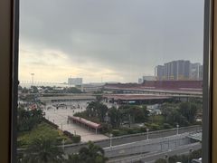 -金苑海鲜酒家(来魅力店)