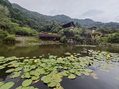 -桃花岭景区