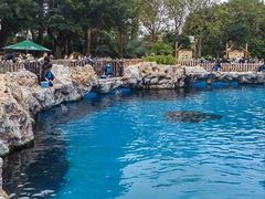 -珠海长隆海洋王国
