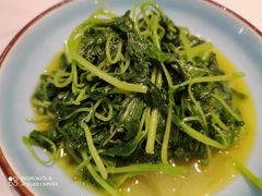 -席家花园(巨鹿花园店)