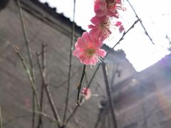 -湘子庙