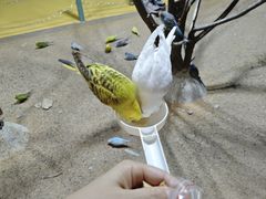 -上海大自然野生昆虫馆(东方明珠·爬宠昆虫探索中心)