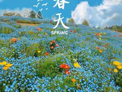 -上海辰山植物园