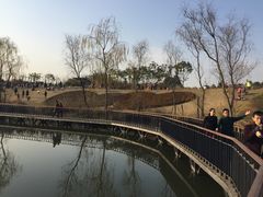 -白鹭湾湿地公园