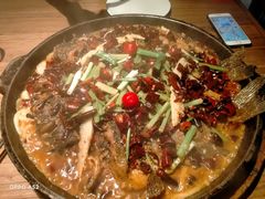 -老板恋上鱼(印象城店)