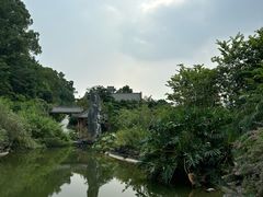 -广州神农草堂中医药博物馆