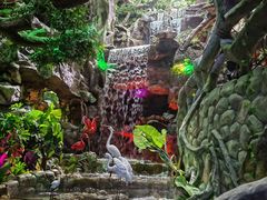 -多彩贵州城极地海洋世界