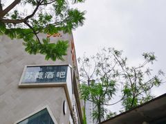 -苏荷酒吧(九街店)