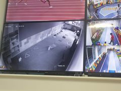 -早慧树儿童感觉统合体能训练中心(市北校区)