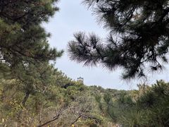 -北京十三陵国家森林公园蟒山景区