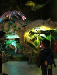 点击看大图 -恐龙探索乐园(磁器口店)