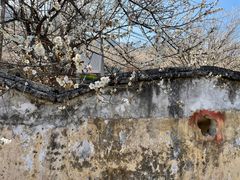 -广州市流溪河国家森林公园