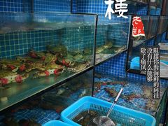 -老郑海鲜楼(天桥店)