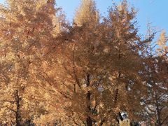 -辽宁大学(崇山校区)