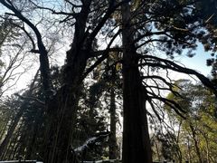 -庐山风景名胜区