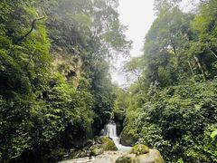 -峨眉山风景名胜区