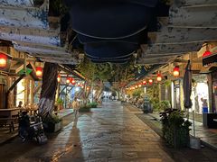 -成都安仁福朋喜来登酒店
