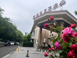 -童谣里医疗级月子中心(独栋湖景店)
