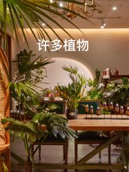 -芳香乐府疗愈空间·SPA·冥想