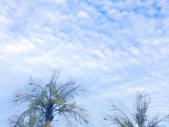 -金梦海湾浴场