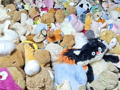 -中环花鸟鱼虫市场