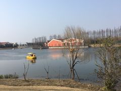 -上海长兴岛郊野公园