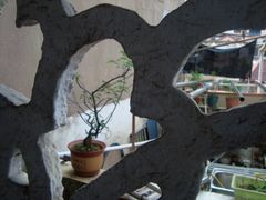 -墨池公园