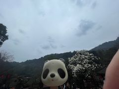 -青城山