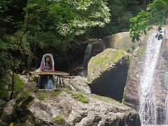 -牛背梁国家森林公园