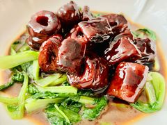 -望乡楼上海菜(日月光店)