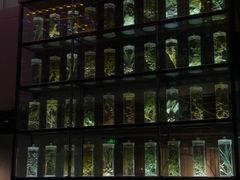 -广东中医药博物馆