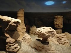 地质环境厅-甘肃地质博物馆