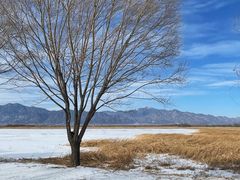 -野鸭湖国家湿地公园