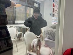 -喵的天空名猫咖啡馆·撸猫·猫舍·用品