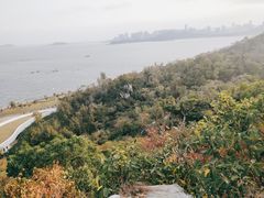 -野狸岛