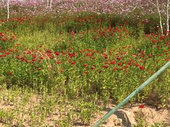 -鄂尔多斯野生动物园