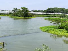 -美家乐农庄·露营·团建(大治路店)