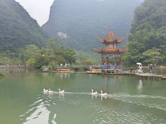 -靖西鹅泉风景区
