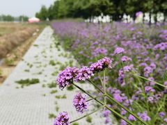 -祝甸砖窑文化馆