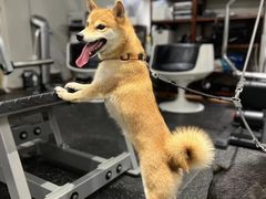 -YCHL Studios健身工作室(市二宫店)