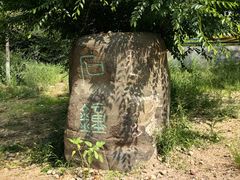 -红山国家森林公园