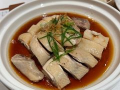 -山东老家(科韵分店)